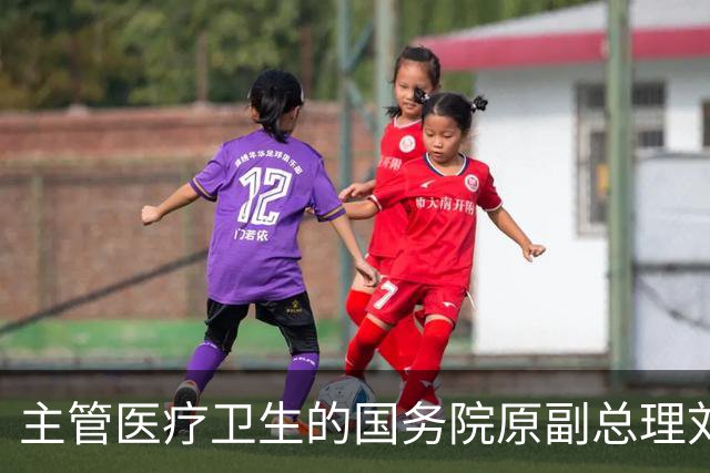 主管医疗卫生的国务院原副总理刘延东逝世