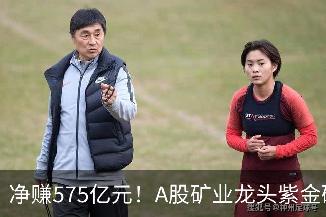 净赚575亿元！A股矿业龙头紫金矿业，前三季度净利大增52%，股价较年内高点回撤逾三成