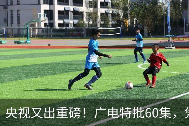 央视又出重磅！广电特批60集，凭什么让观众提前一年开始等