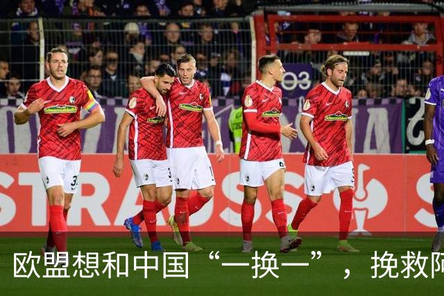 欧盟想和中国“一换一”，挽救阿斯麦企业，方案中国未必会同意