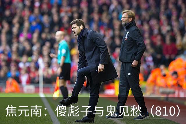 焦元南：傻彪子与鬼见愁（8/10）
