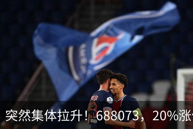 突然集体拉升！688073，20%涨停