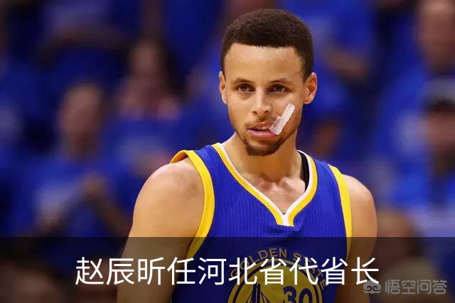 赵辰昕任河北省代省长