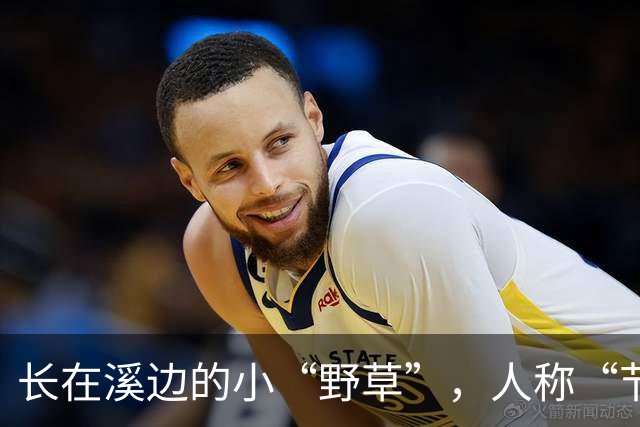 长在溪边的小“野草”，人称“节节草”，农民拔了扔，现20元一盆