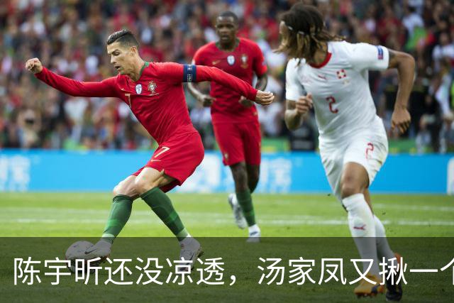 陈宇昕还没凉透，汤家凤又揪一个“精日”人员：竟然还是公司老板