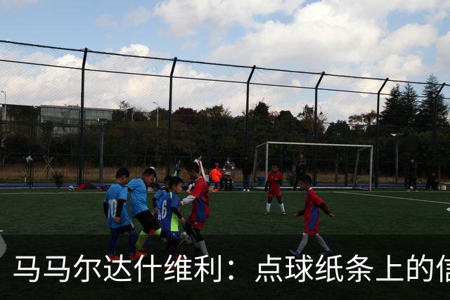 马马尔达什维利：点球纸条上的信息全错了，我只能凭直觉判断