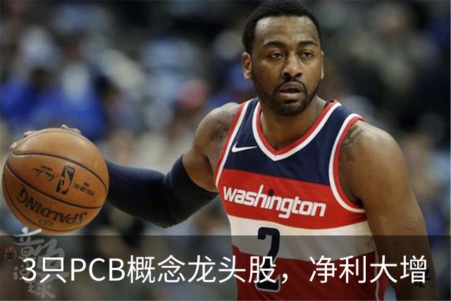 3只PCB概念龙头股，净利大增
